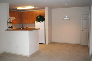 Kitchen and carpeted dinning area