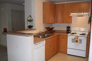 Kitchen with oven, sink, dishwasher and cabinets
